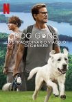 دانلود فیلم Dog Gone 2023 با دوبله اختصاصی