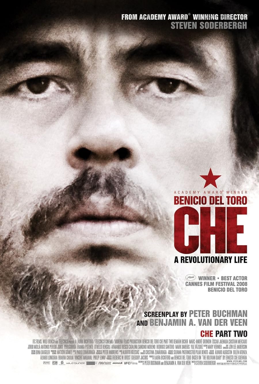 دانلود دوبله فارسی فیلم Che: Part Two 2008